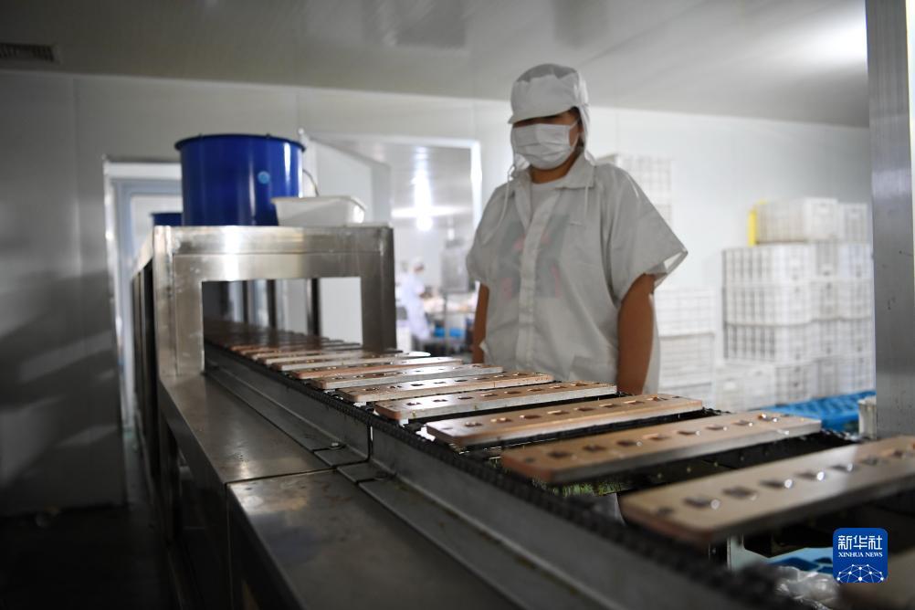 捕鱼达人3d官网下载